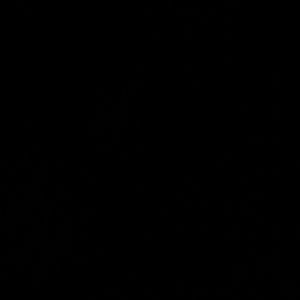 Meet your Posher, Steve